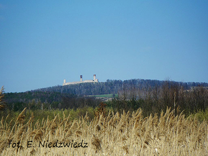 Widok na ruiny zamku w Chcinach, Tokarnia stanowisko archeologiczne nr 7